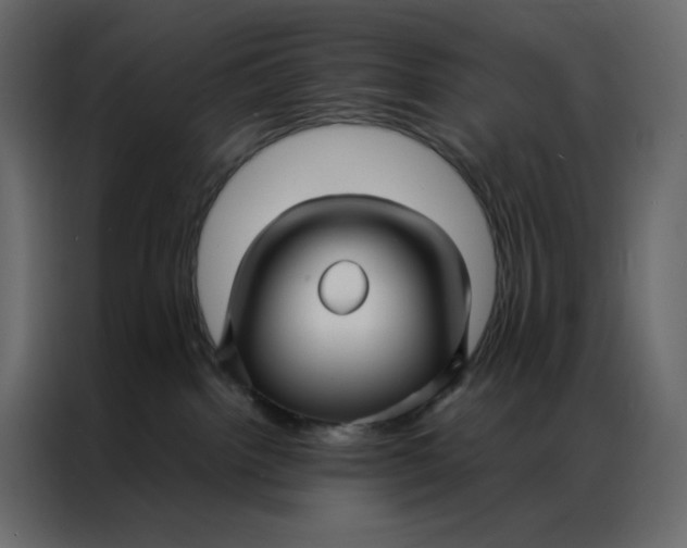 X0000086990092200705071445