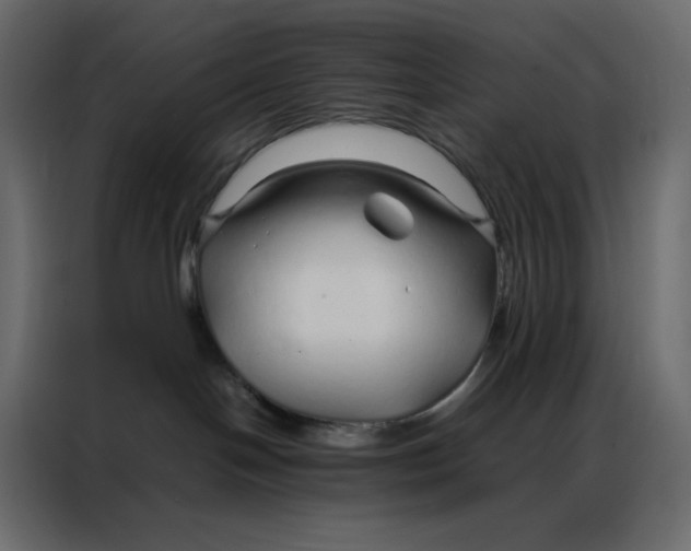 X0000086990094200705071445