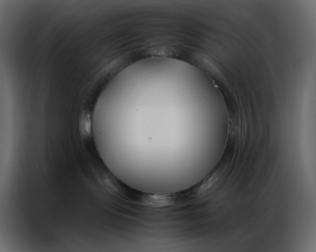 X0000086990095200705071445