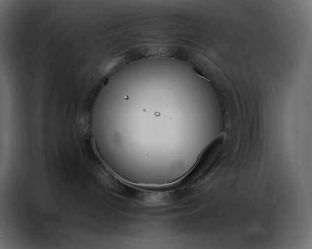 X0000086990096200705071445