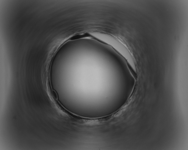 X0000086990097200705071444