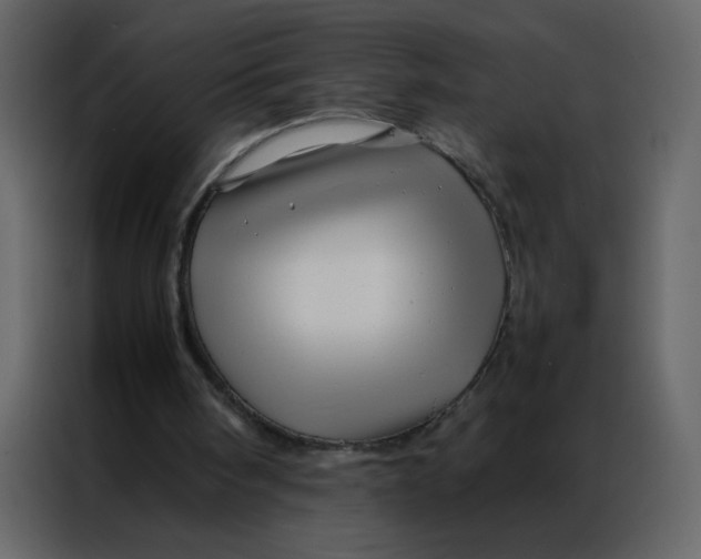 X0000086990098200705071444