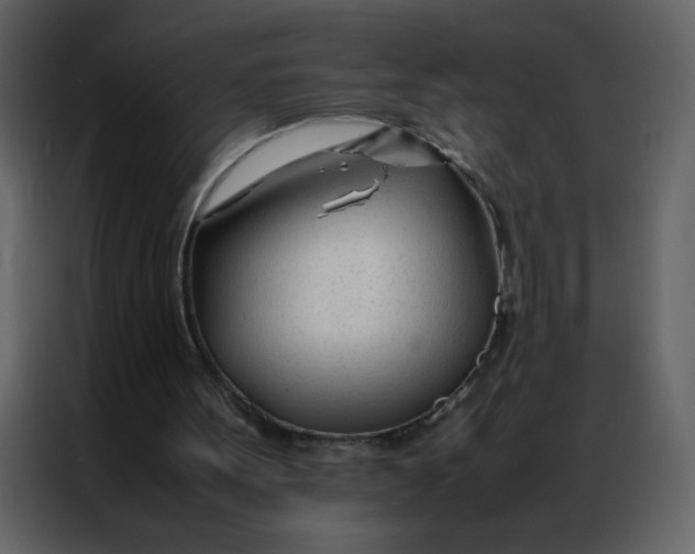 X0000086990099200705071444