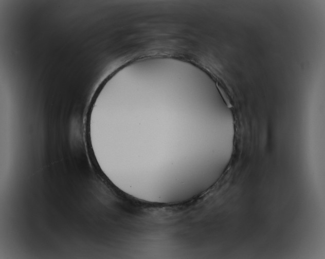 X0000086990100200705071444