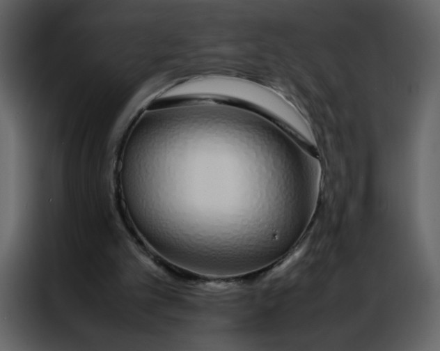 X0000086990101200705071444