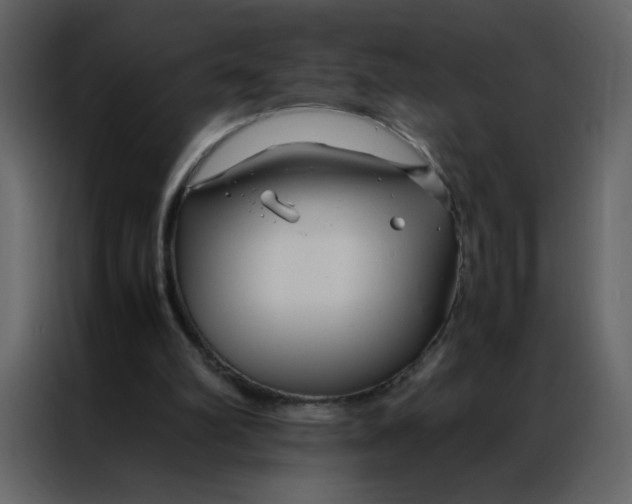 X0000086990102200705071444