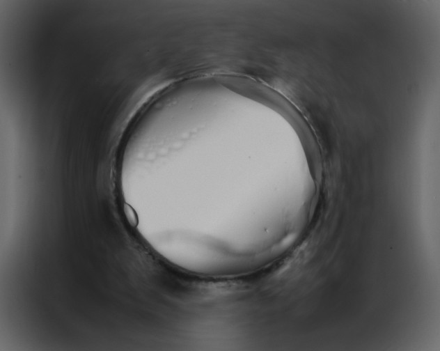 X0000086990103200705071444