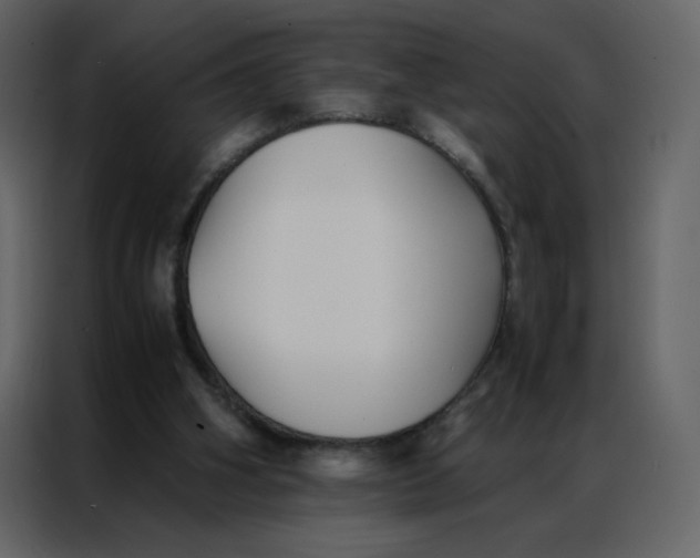 X0000086990106200705071444