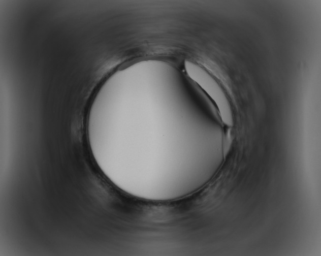 X0000086990107200705071444