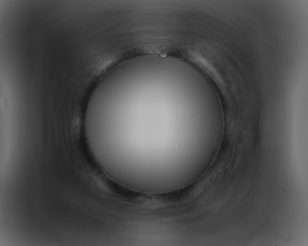 X0000086990113200705071444