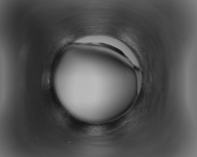 X0000086990115200705071444