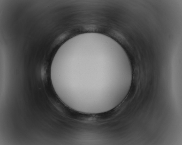 X0000086990116200705071444