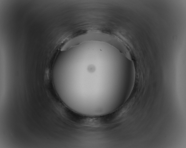 X0000086990117200705071444