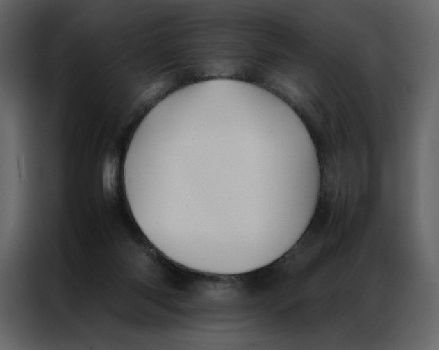 X0000086990118200705071444