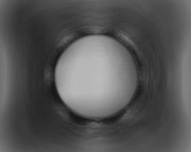 X0000086990119200705071444