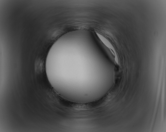 X0000086990123200705071444