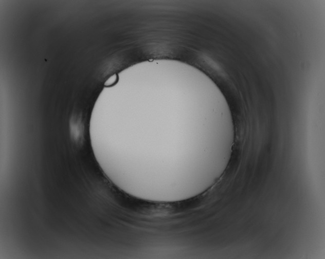 X0000086990124200705071444