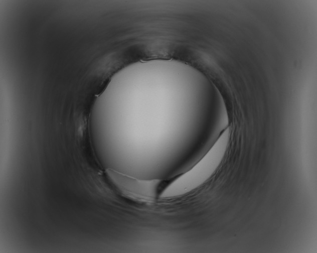 X0000086990125200705071444