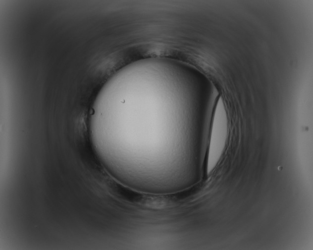 X0000086990127200705071444