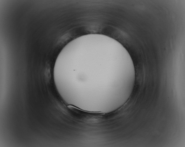 X0000086990128200705071444