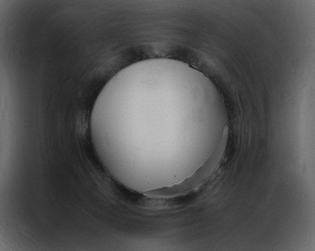 X0000086990129200705071444