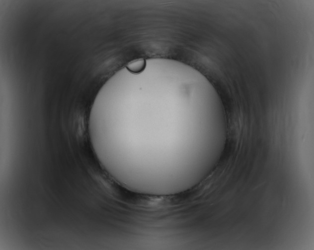 X0000086990130200705071444