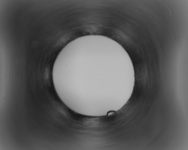 X0000086990132200705071444