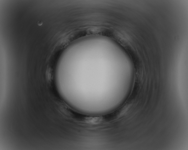 X0000086990135200705071444