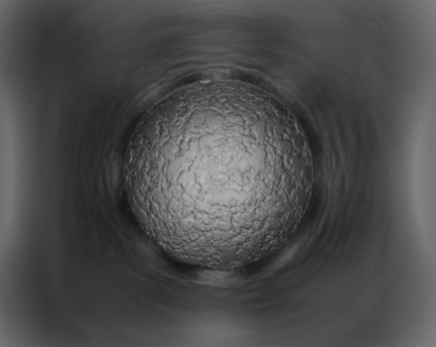 X0000086990139200705071444