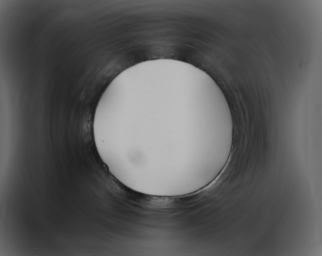 X0000086990144200705071444