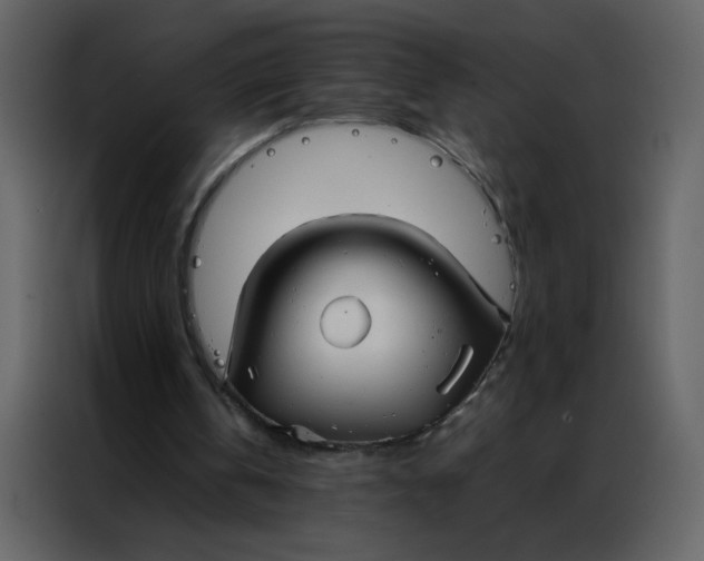 X0000086990146200705071443