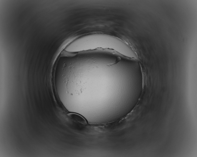 X0000086990147200705071443