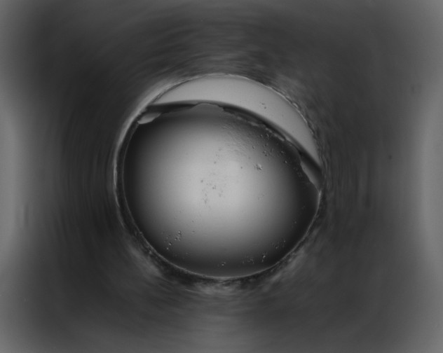 X0000086990148200705071443