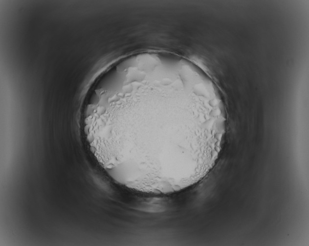 X0000086990151200705071443