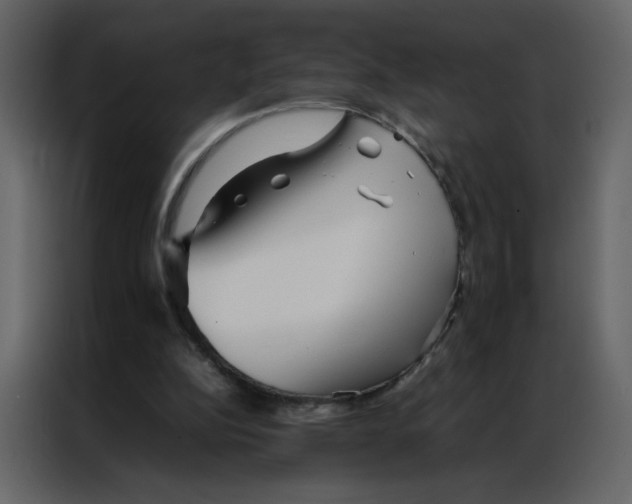 X0000086990152200705071443