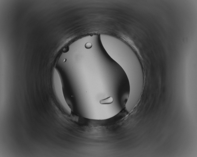 X0000086990154200705071443