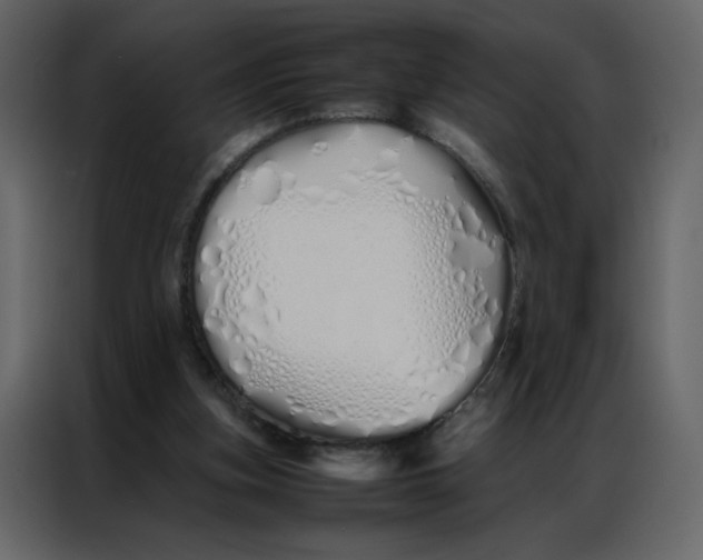 X0000086990155200705071443