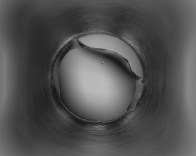 X0000086990156200705071443