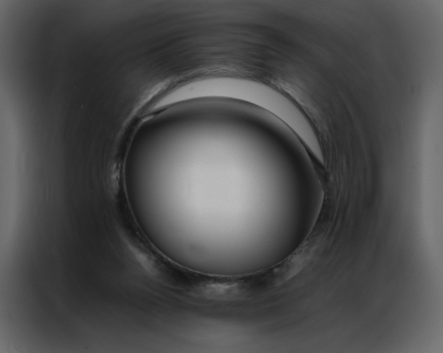 X0000086990160200705071443