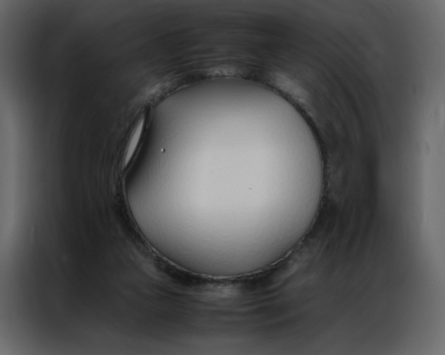 X0000086990161200705071443