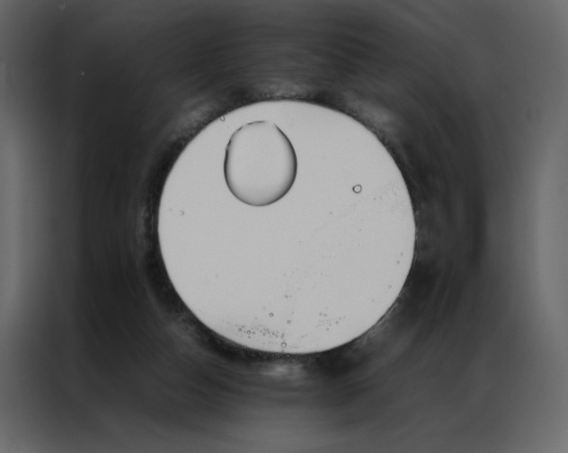 X0000086990162200705071443