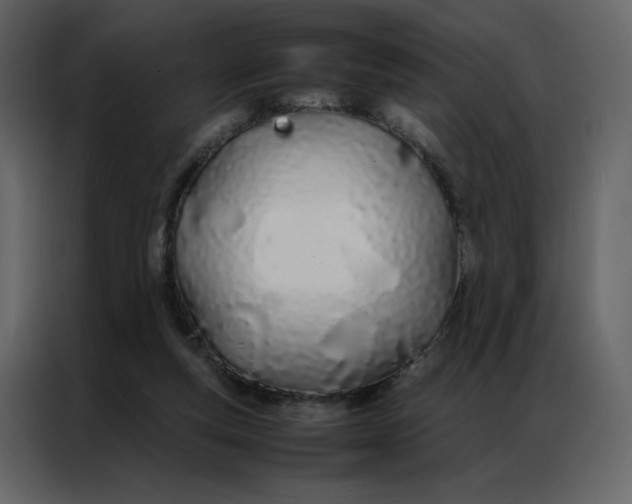 X0000086990163200705071443