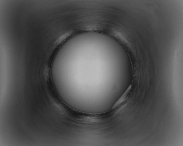 X0000086990164200705071443