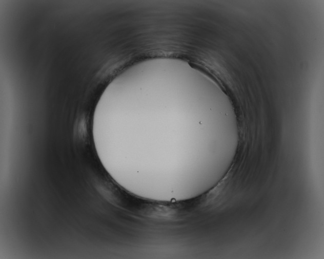 X0000086990166200705071443