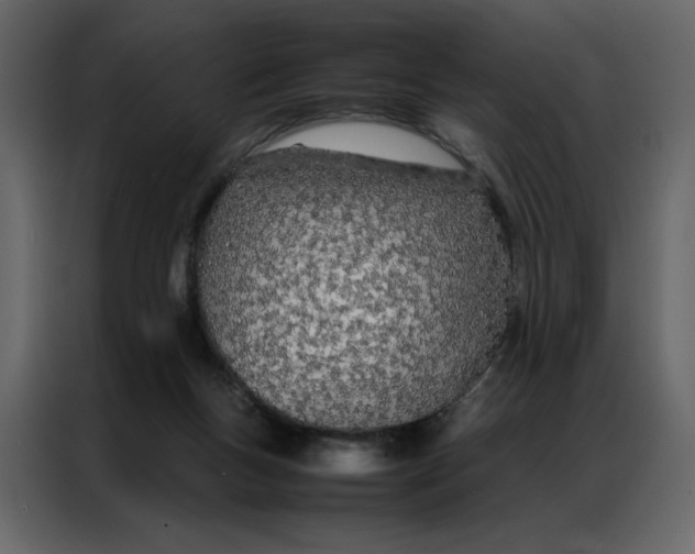 X0000086990167200705071443