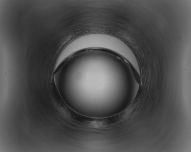 X0000086990168200705071444