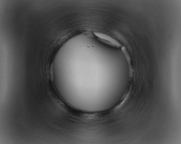 X0000086990170200705071444