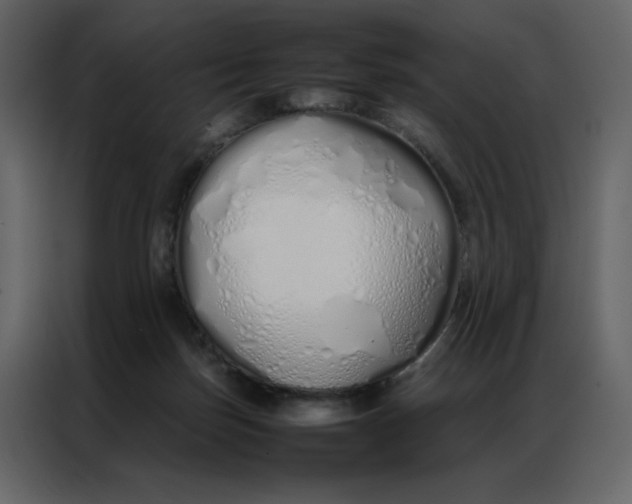 X0000086990171200705071444