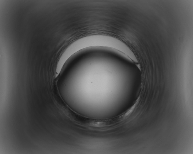 X0000086990174200705071444