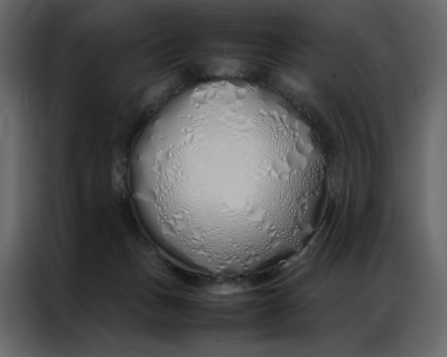 X0000086990175200705071444